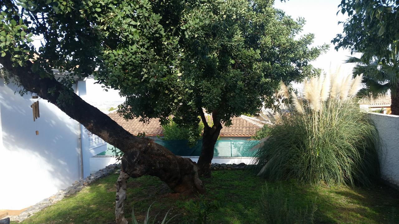 Villa Manzanilla, Malaga ألاورين ذي ر تورّي المظهر الخارجي الصورة
